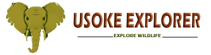 USOKE EXPLORER