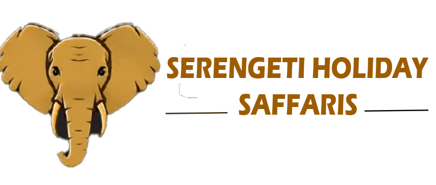 Serengeti Holiday Safaris