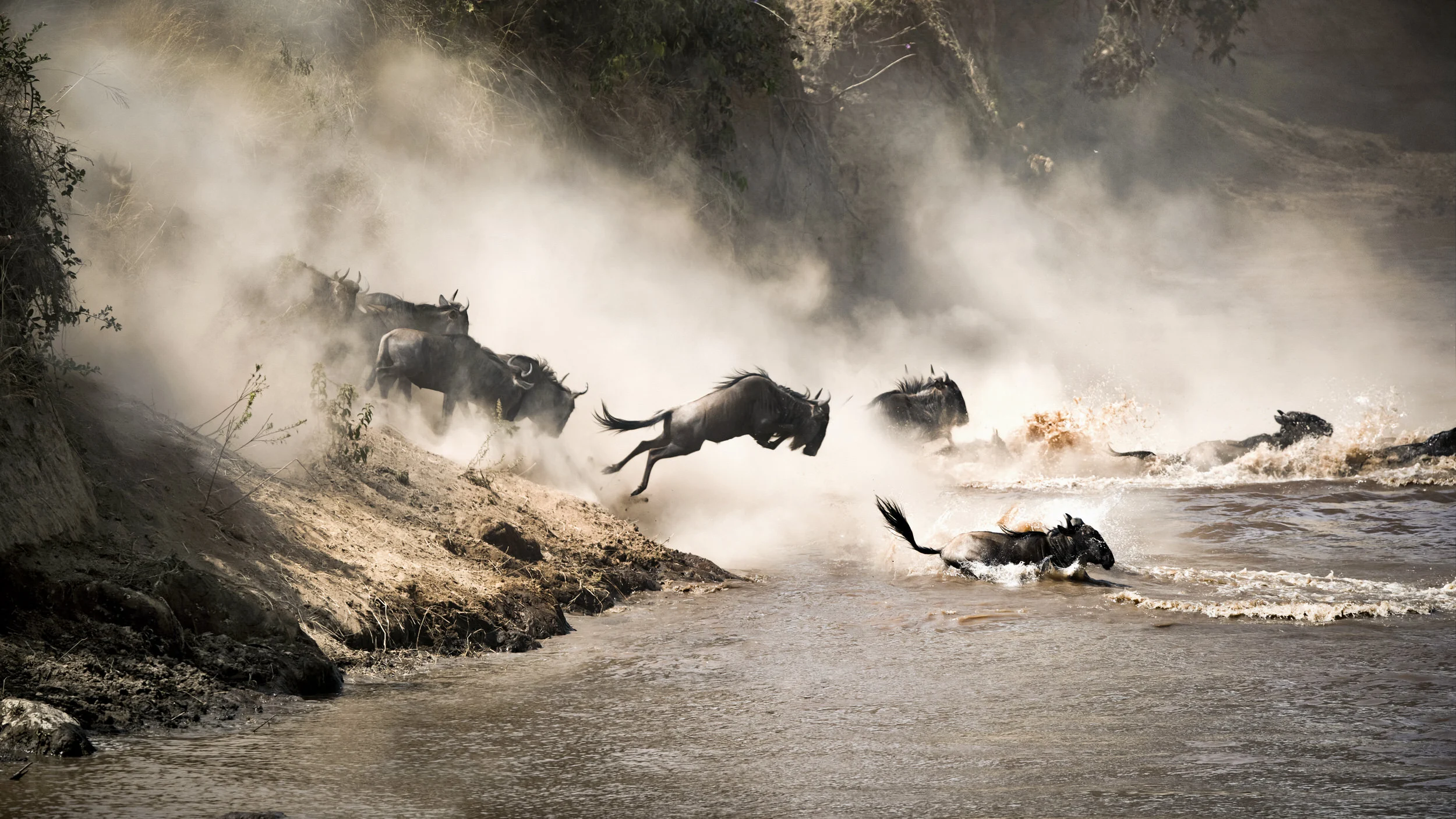 Serengeti Holiday Safaris